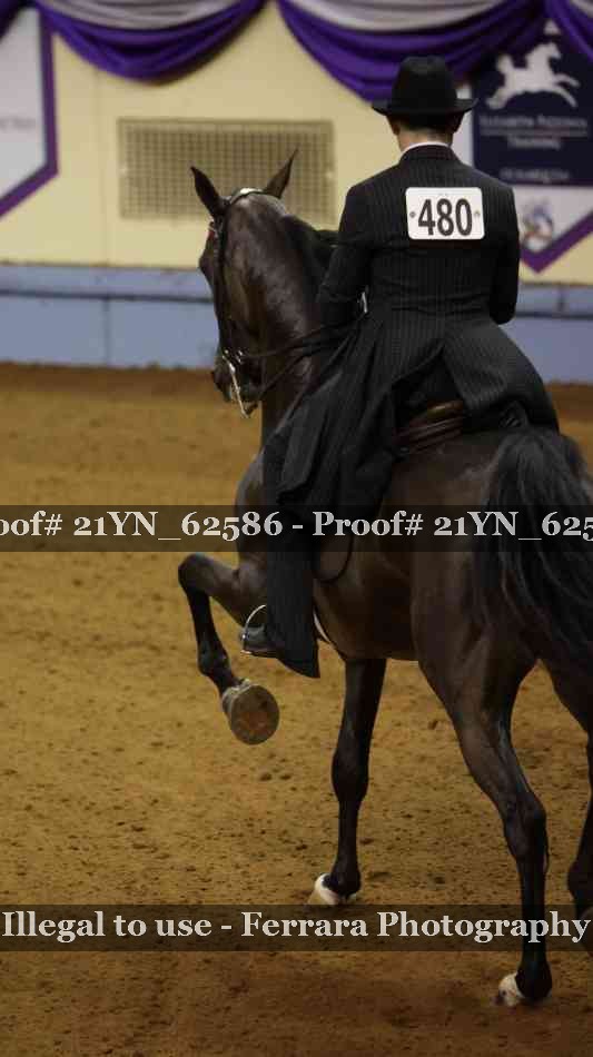 Proof 21YN_62586