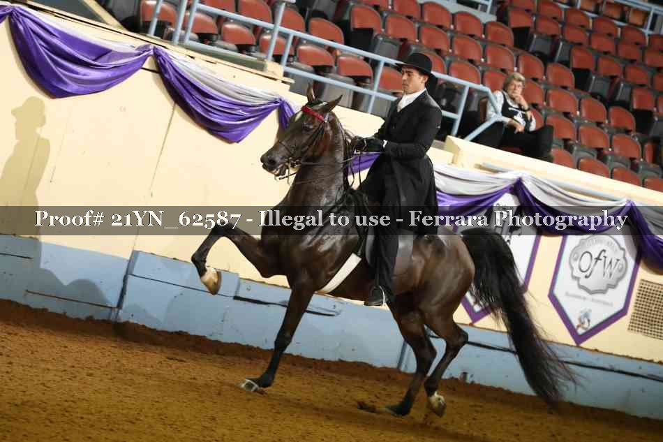 Proof 21YN_62587