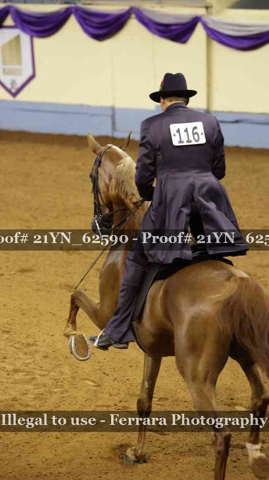 Proof 21YN_62590