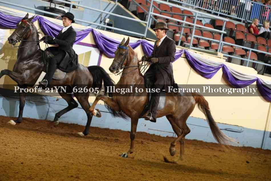 Proof 21YN_62605