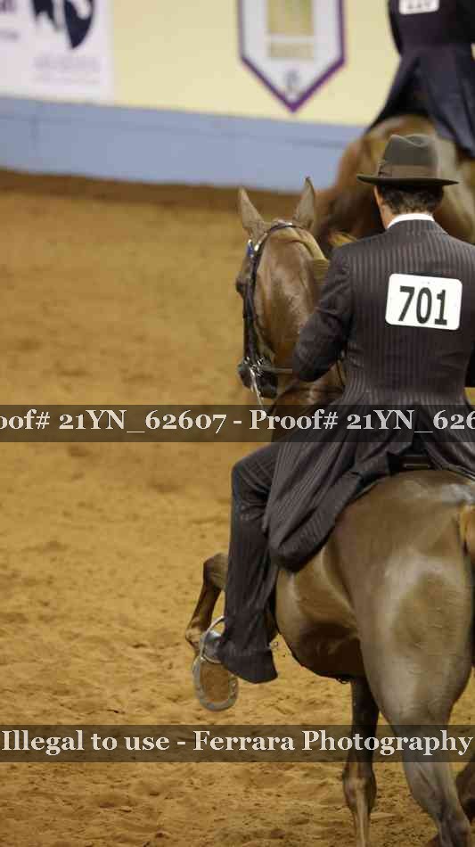 Proof 21YN_62607