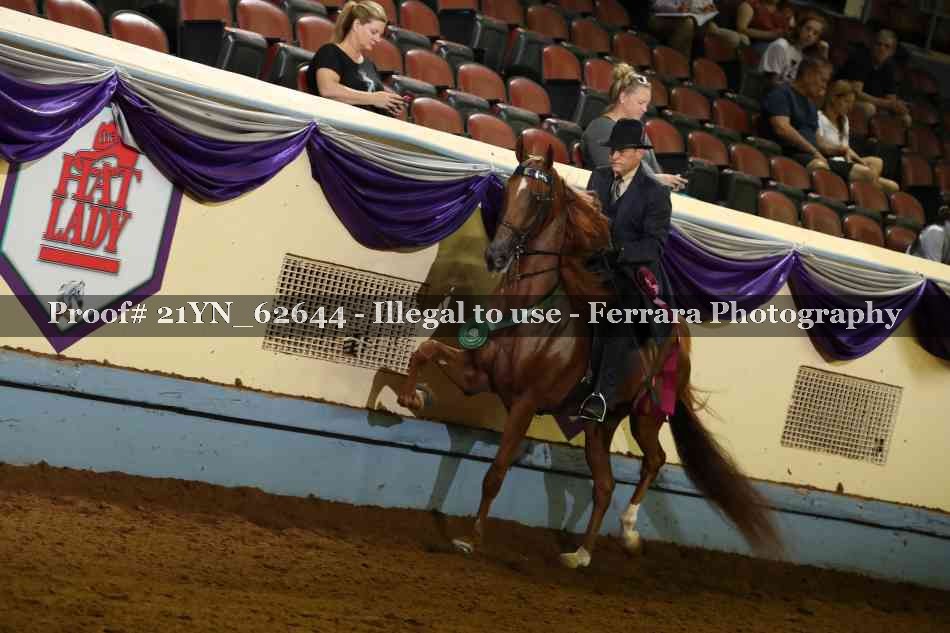 Proof 21YN_62644