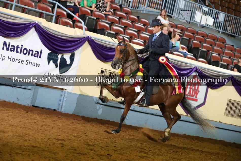 Proof 21YN_62660