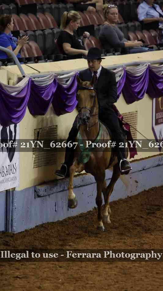 Proof 21YN_62667