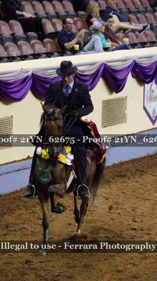 Proof 21YN_62675