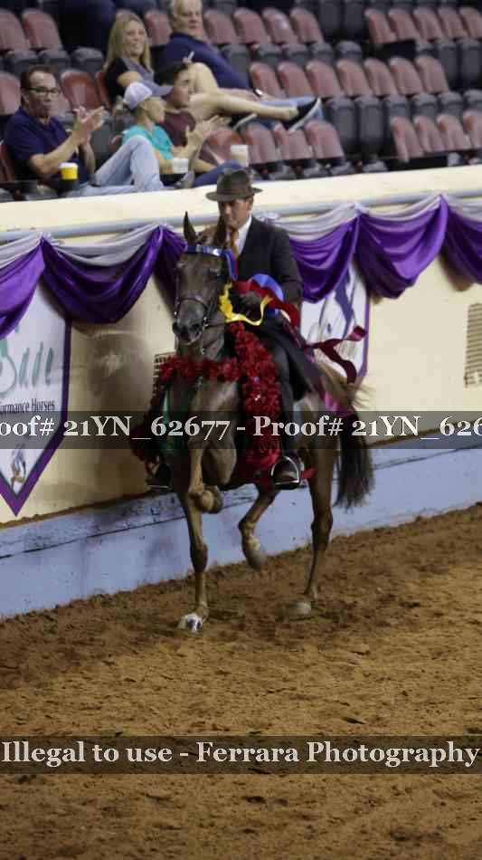 Proof 21YN_62677
