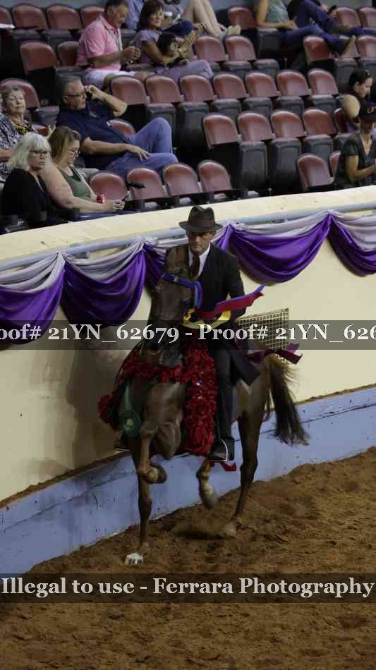 Proof 21YN_62679