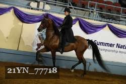 21YN_77718 proof