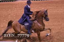 21YN_77779 proof