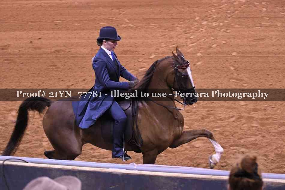 Proof 21YN_77781