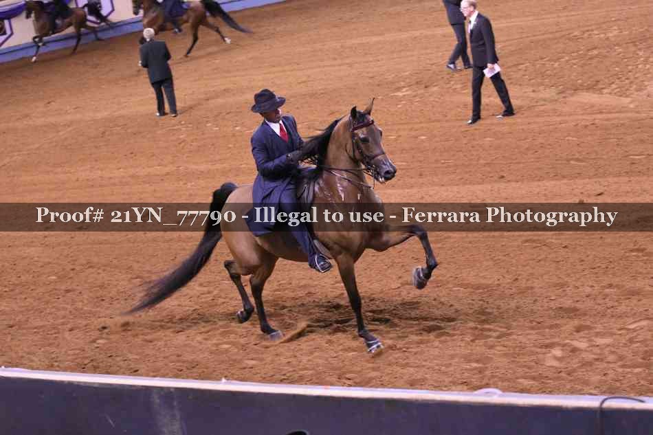 Proof 21YN_77790