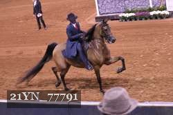 21YN_77791 proof