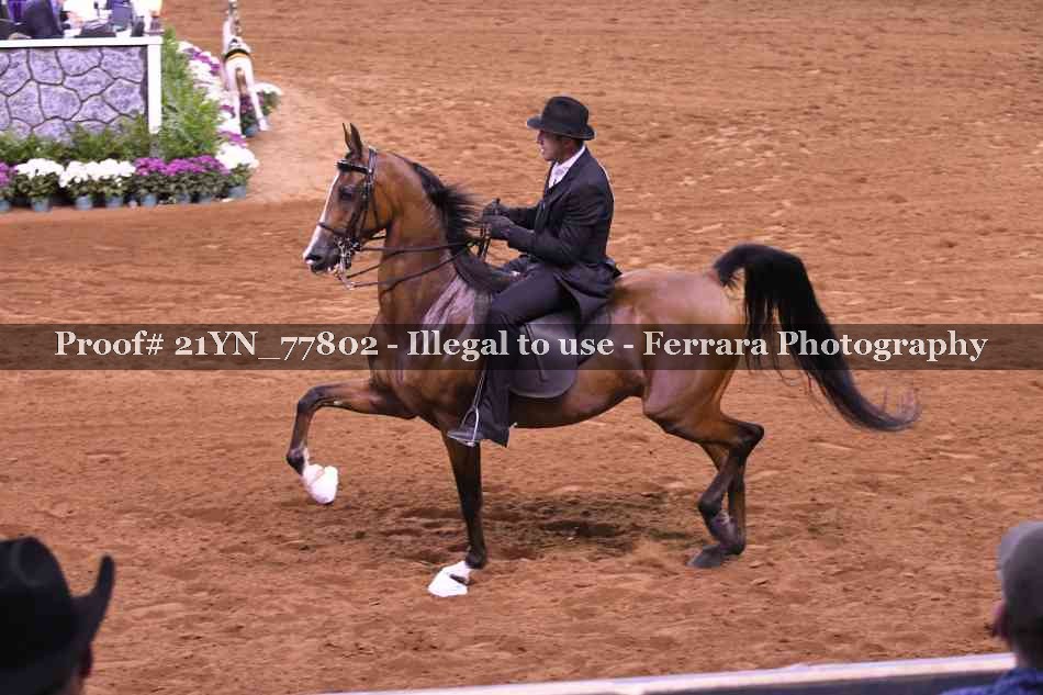 Proof 21YN_77802