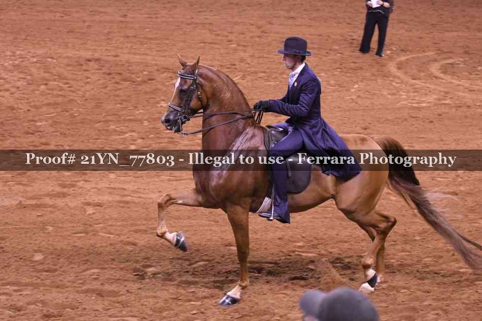 Proof 21YN_77803