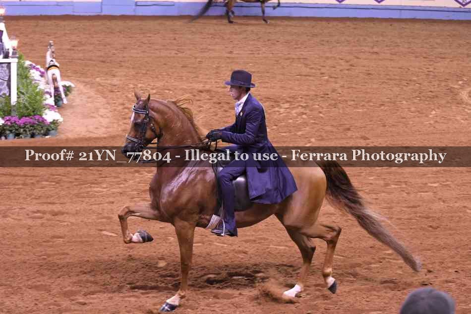 Proof 21YN_77804