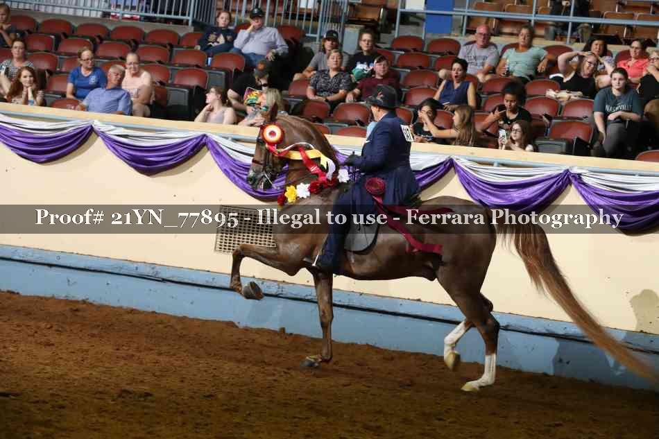 Proof 21YN_77895
