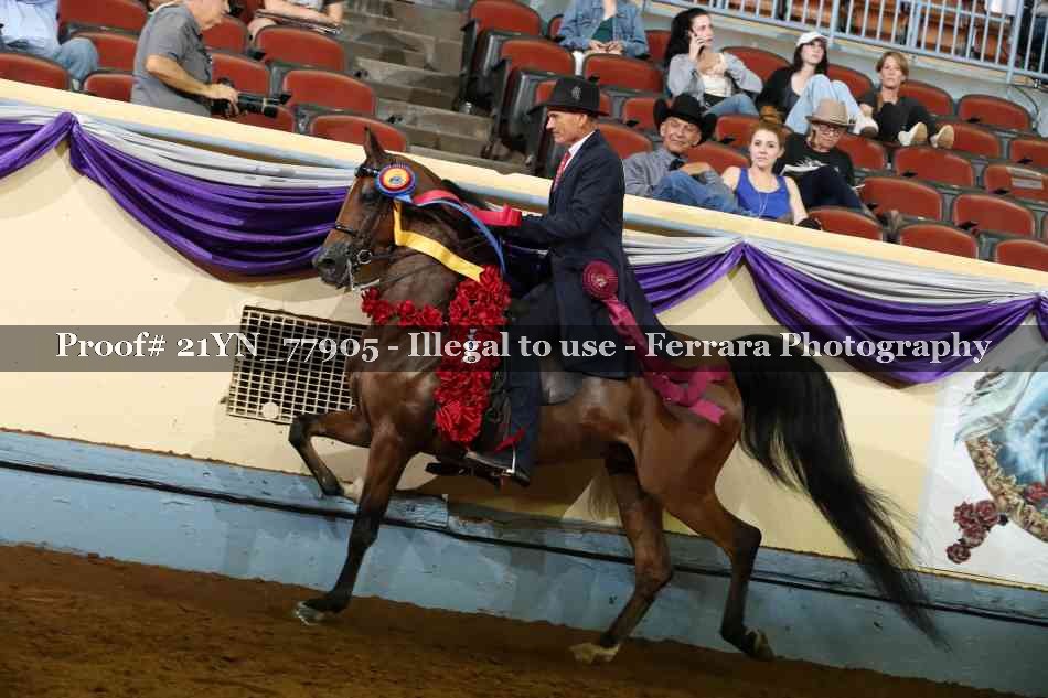 Proof 21YN_77905