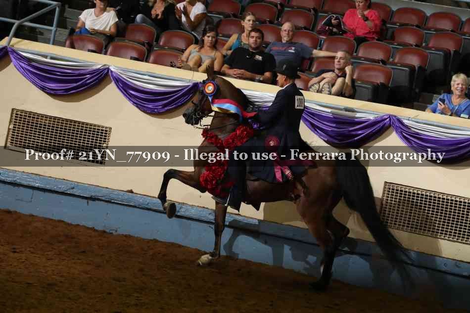 Proof 21YN_77909