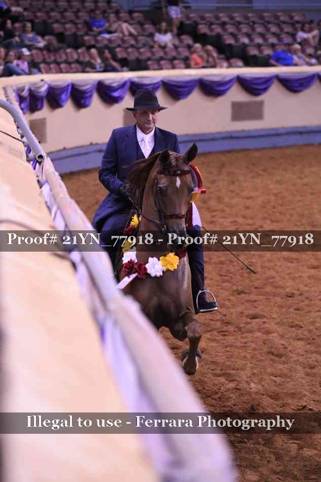 Proof 21YN_77918