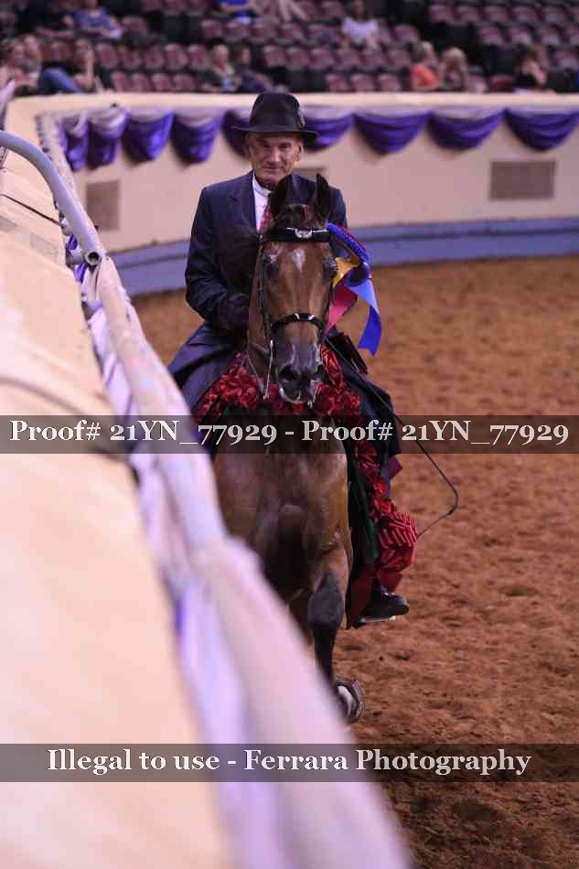 Proof 21YN_77929
