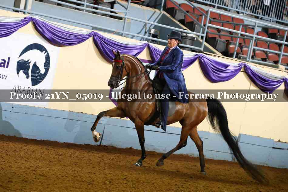 Proof 21YN_05019