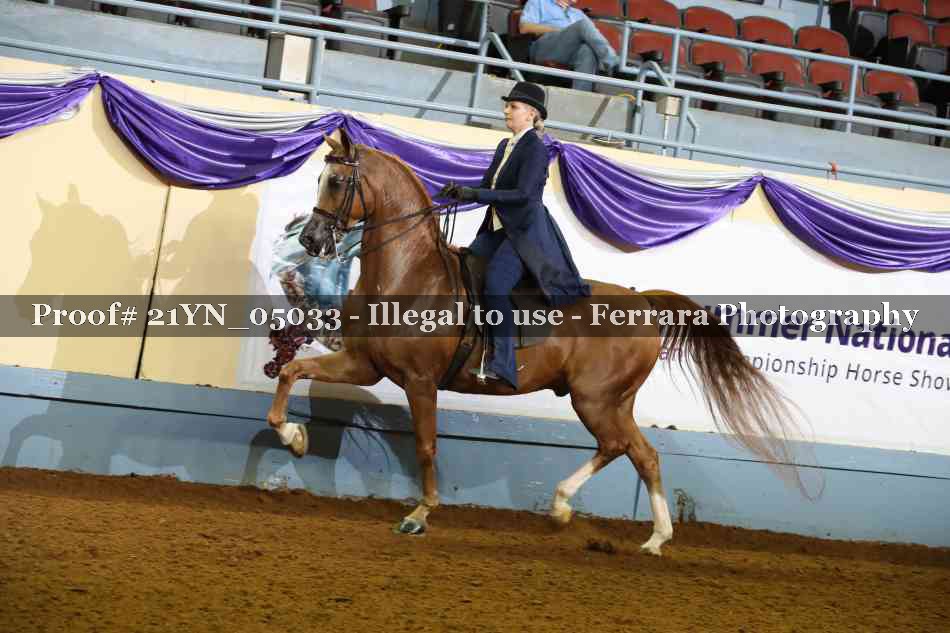 Proof 21YN_05033