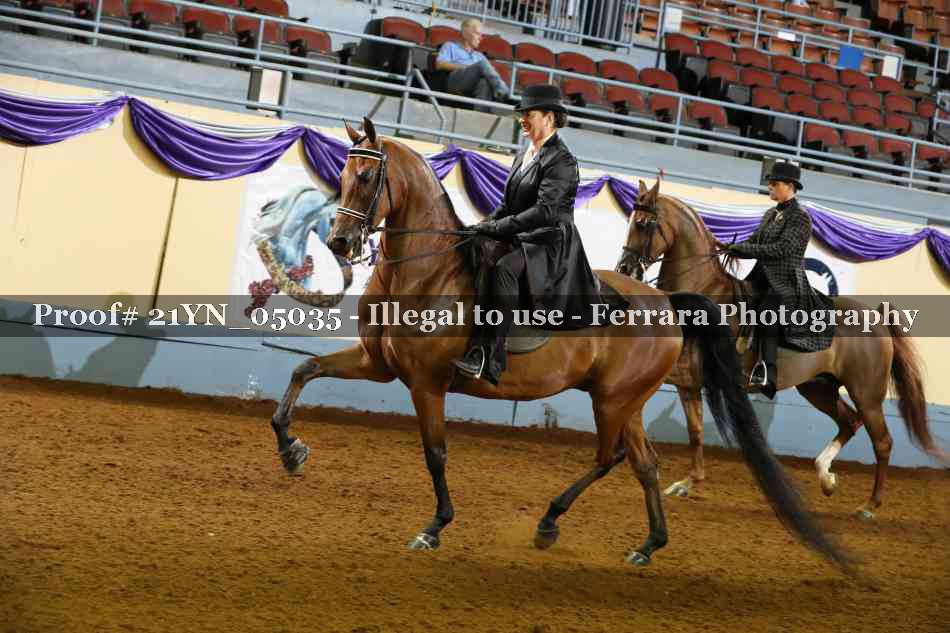 Proof 21YN_05035