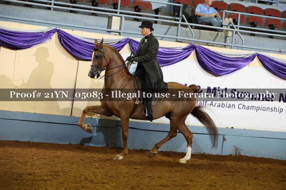 Proof 21YN_05083