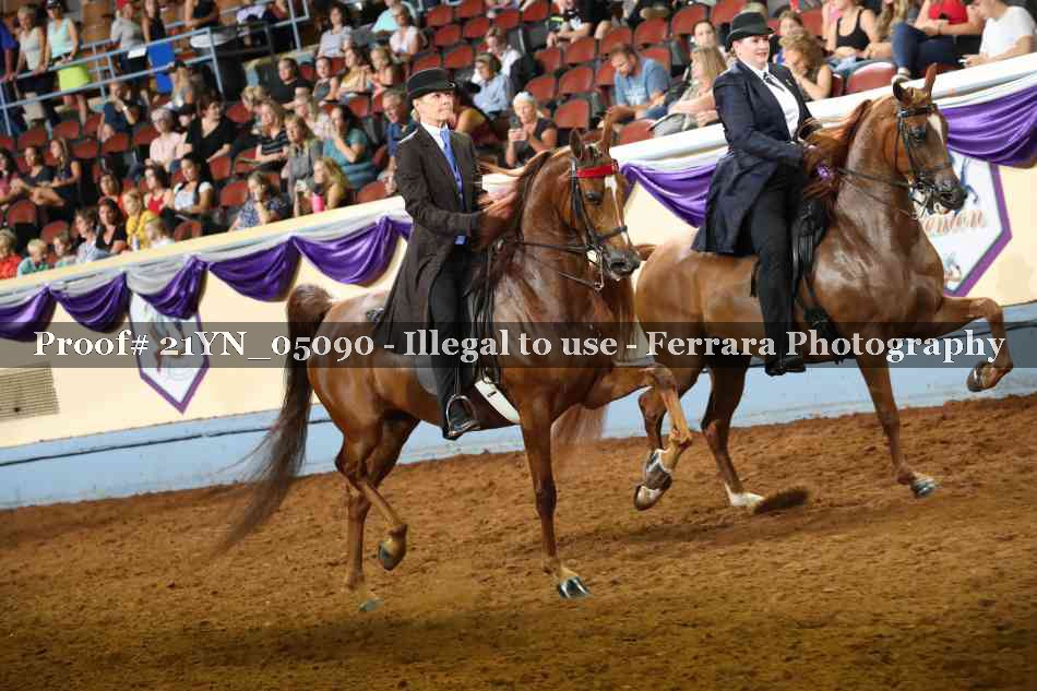 Proof 21YN_05090