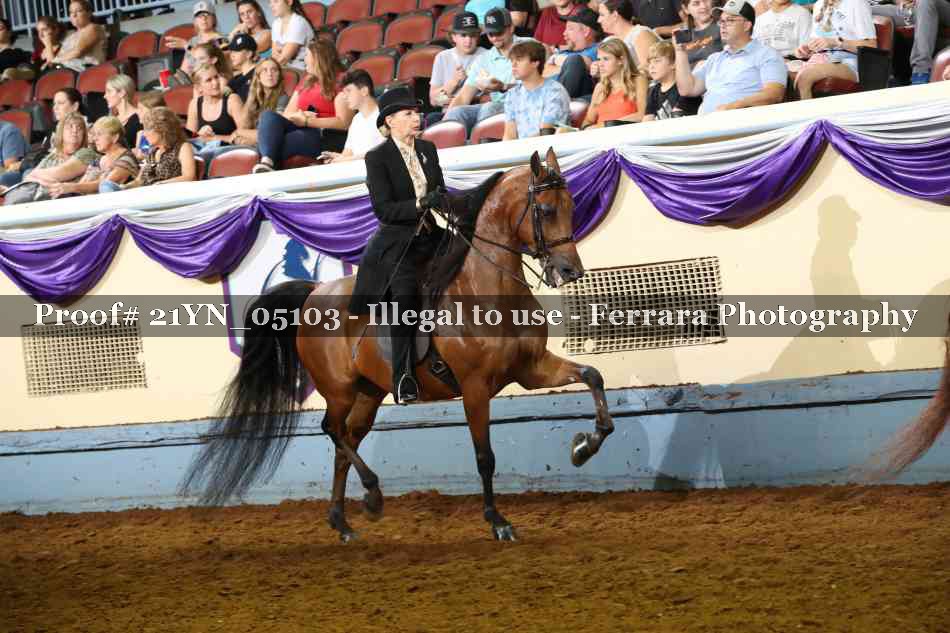 Proof 21YN_05103