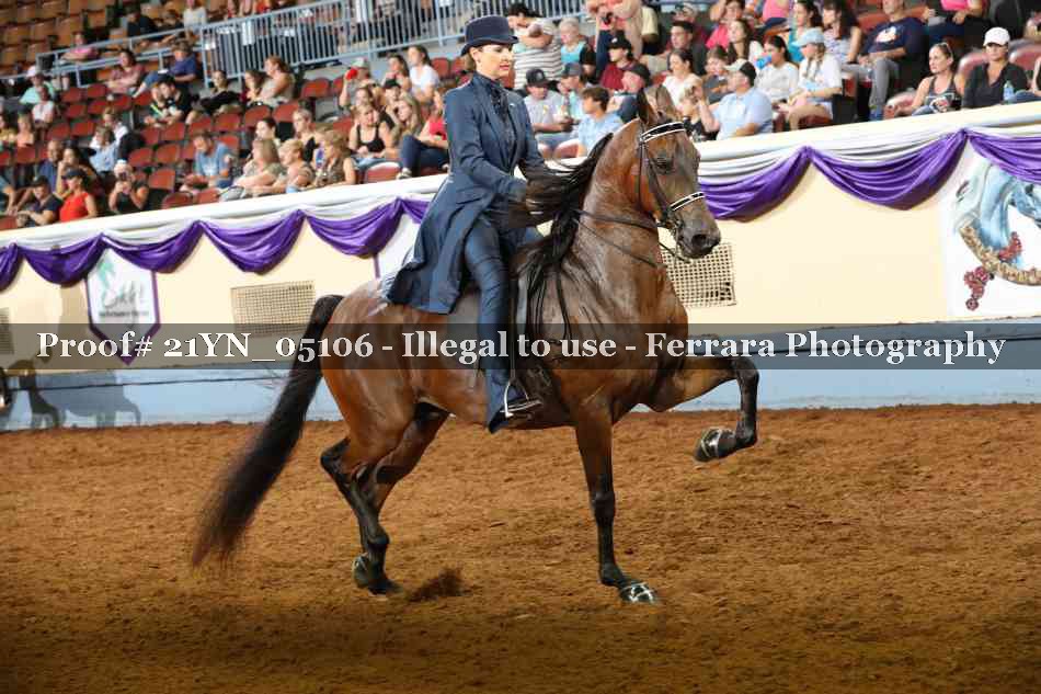 Proof 21YN_05106