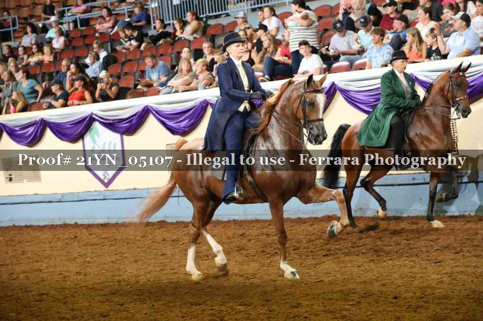 Proof 21YN_05107