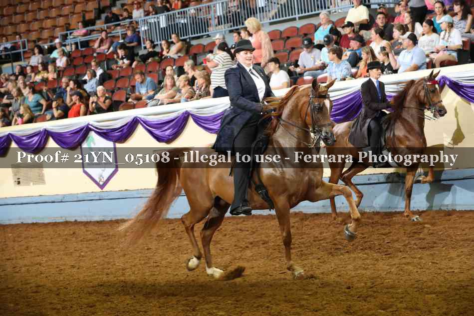 Proof 21YN_05108