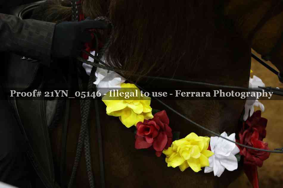 Proof 21YN_05146