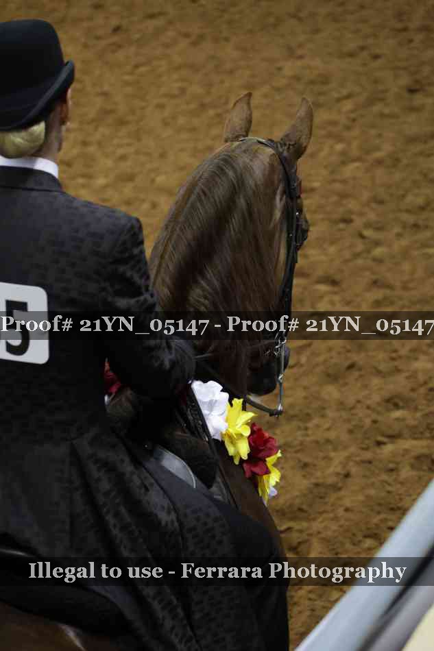 Proof 21YN_05147