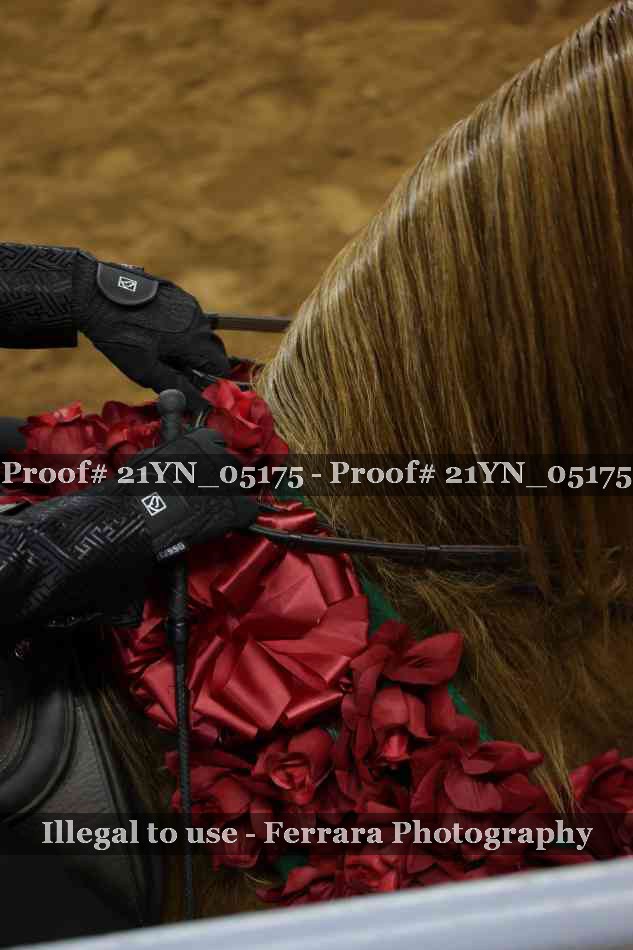 Proof 21YN_05175