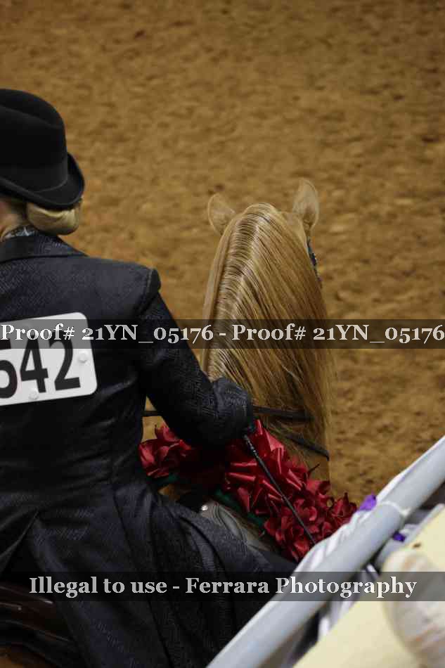 Proof 21YN_05176