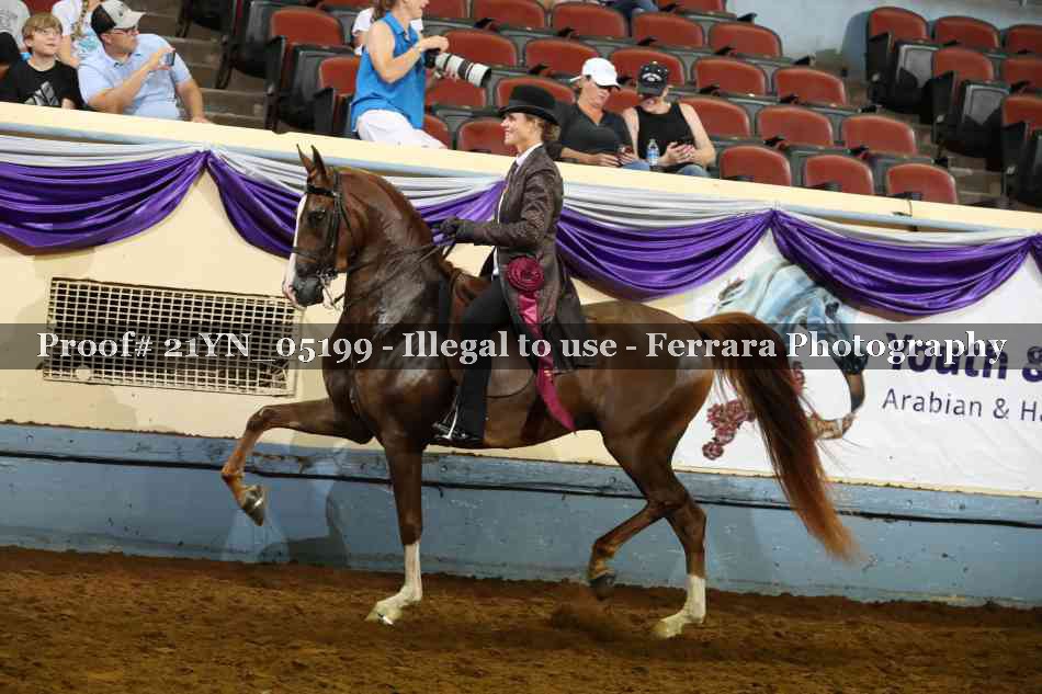 Proof 21YN_05199