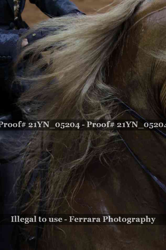 Proof 21YN_05204
