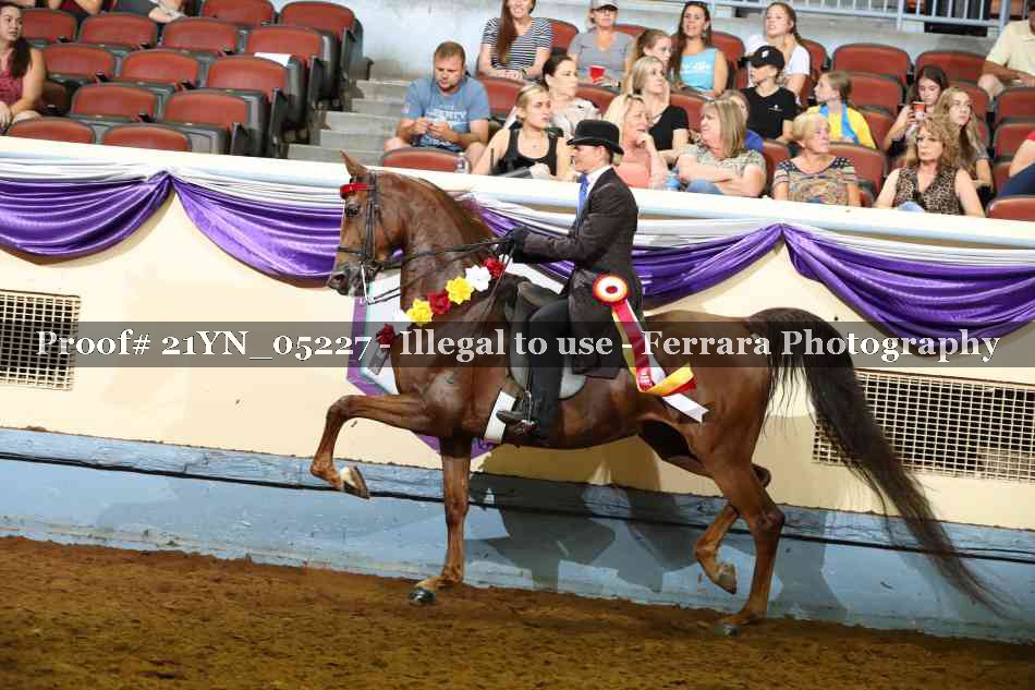 Proof 21YN_05227