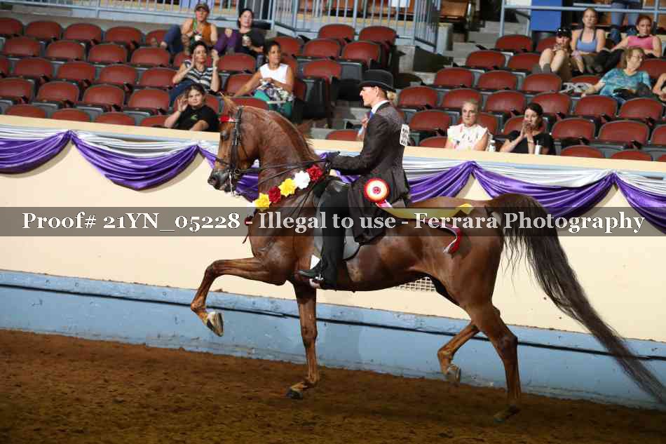 Proof 21YN_05228