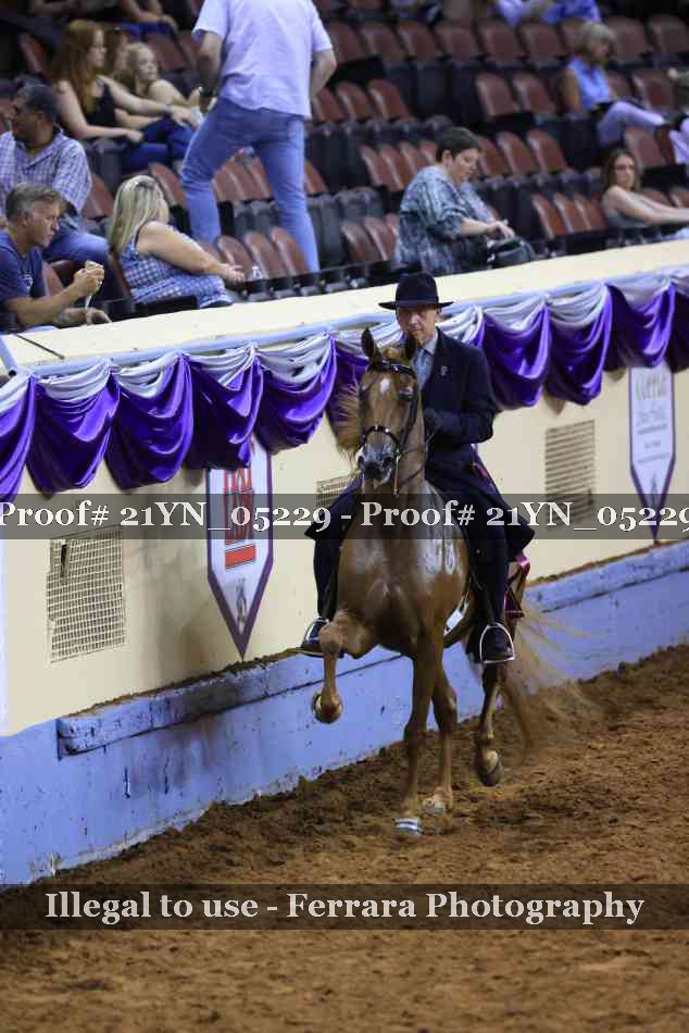 Proof 21YN_05229