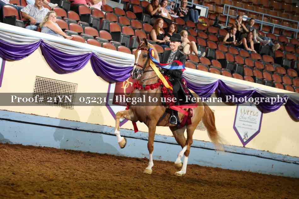 Proof 21YN_05231