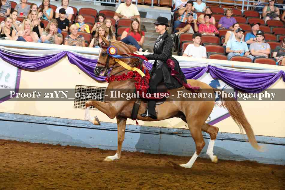 Proof 21YN_05234