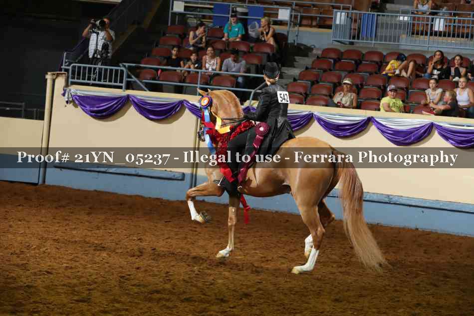 Proof 21YN_05237