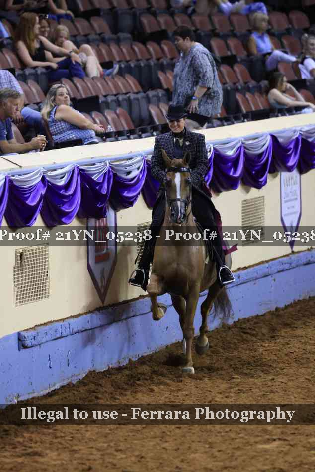 Proof 21YN_05238