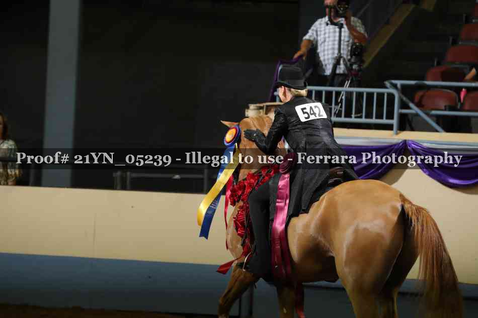 Proof 21YN_05239
