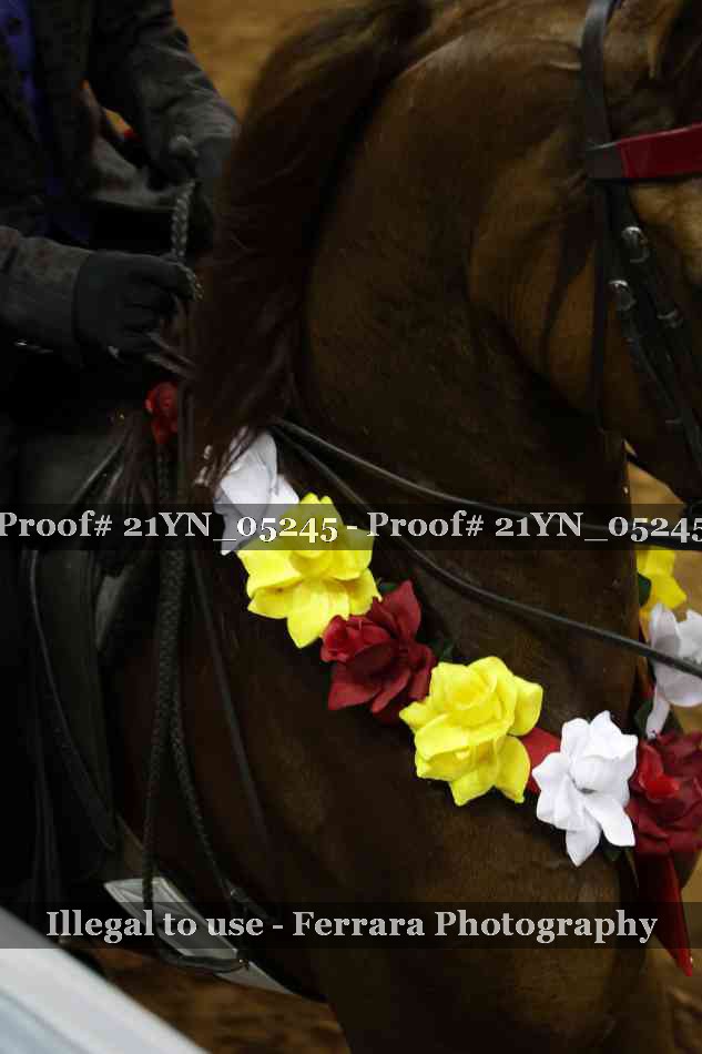 Proof 21YN_05245