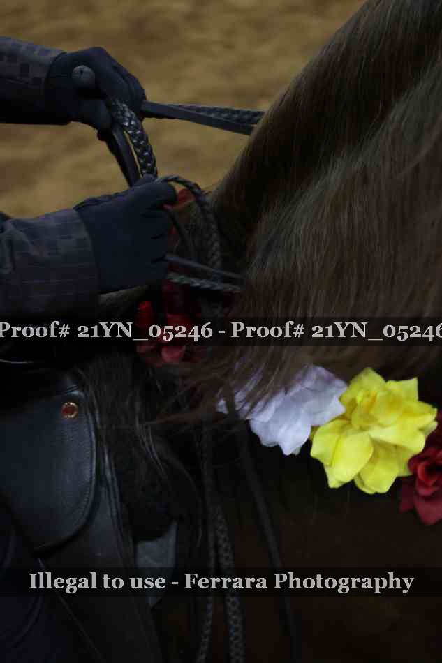Proof 21YN_05246