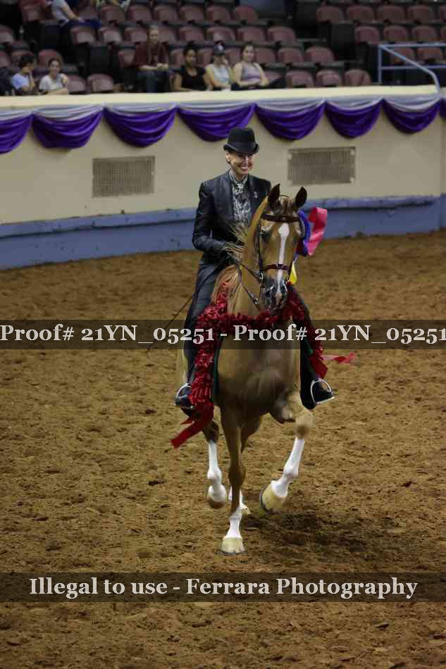 Proof 21YN_05251